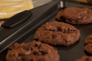 Food Samples-16